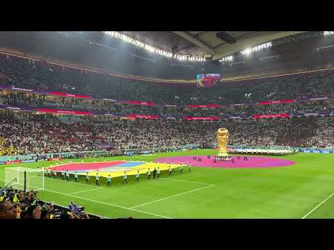 周继红果断,宣布退役,力赞全红婵,乐彩官网,乐彩体育APP,LeCai,乐彩平台