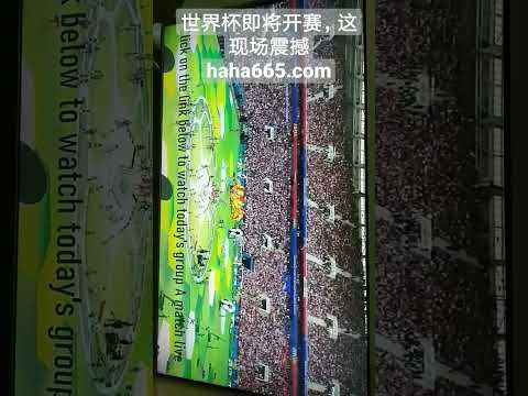 大乐透期号,专家推荐,汉诺威深位,乐彩官网,乐彩体育APP,LeCai,乐彩平台