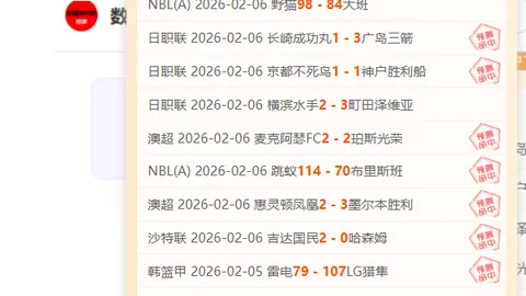 德乙激战：普鲁士明斯特连胜势头能否延续，挑战波鸿再掀风云？