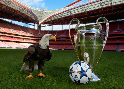 言论引发了 言论引发了